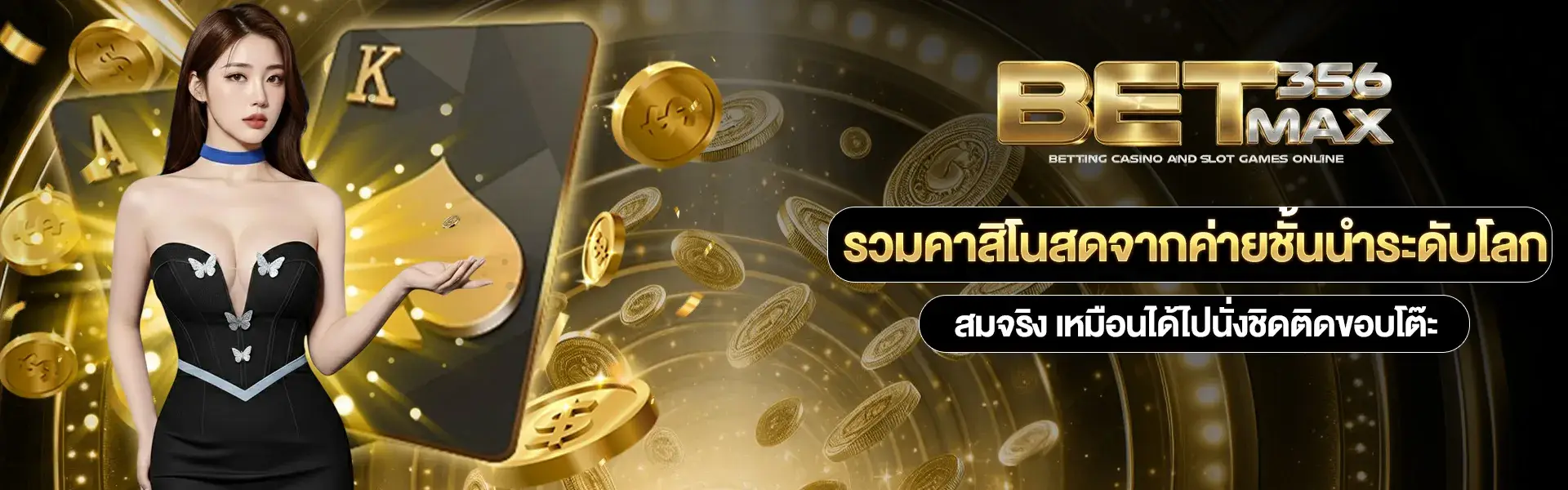 betmax casino game