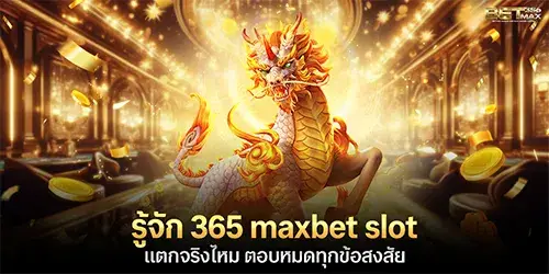 รู้จัก 365 maxbet slot แตกจริงไหม ตอบหมดทุกข้อสงสัย